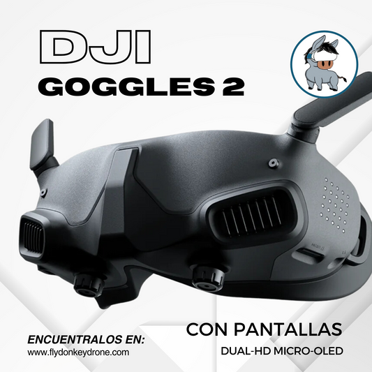 Gafas DJI FPV 2