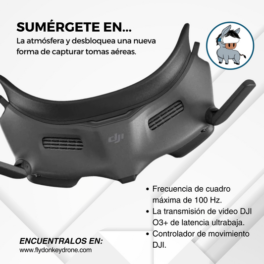 Gafas DJI FPV 2